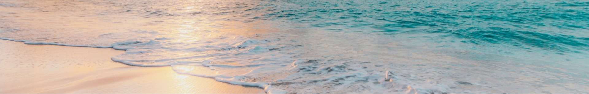 sean-oulashin-KMn4VEeEPR8-unsplash 1 sean-oulashin-KMn4VEeEPR8-unsplash 1